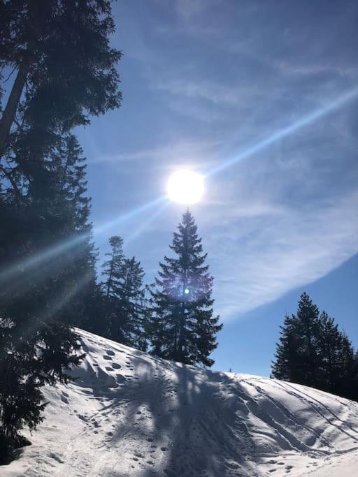 Sonniges Apartment In Seefeld Зеефелд в Тирол Екстериор снимка
