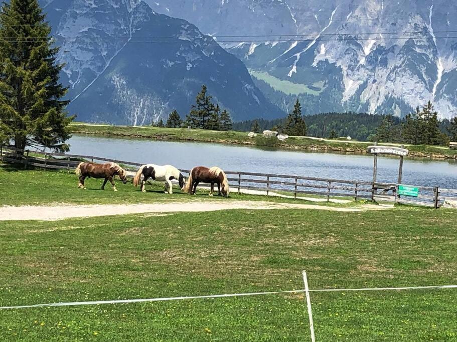 Sonniges Apartment In Seefeld Зеефелд в Тирол Екстериор снимка