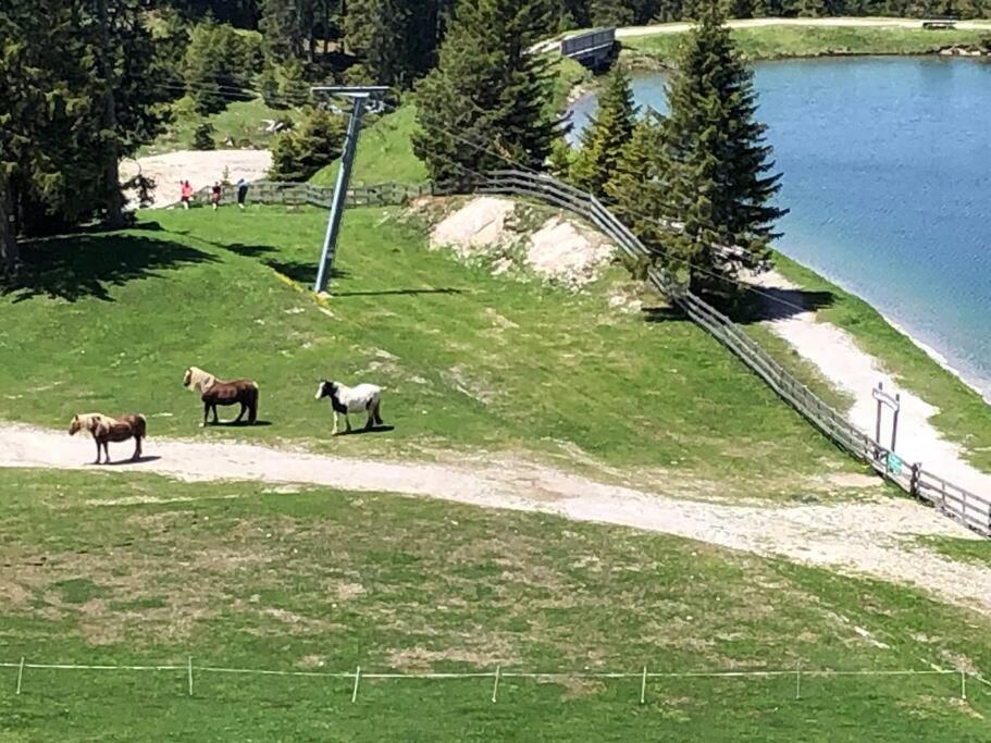 Sonniges Apartment In Seefeld Зеефелд в Тирол Екстериор снимка